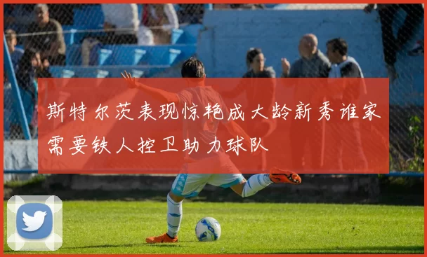 斯特尔茨表现惊艳成大龄新秀谁家需要铁人控卫助力球队